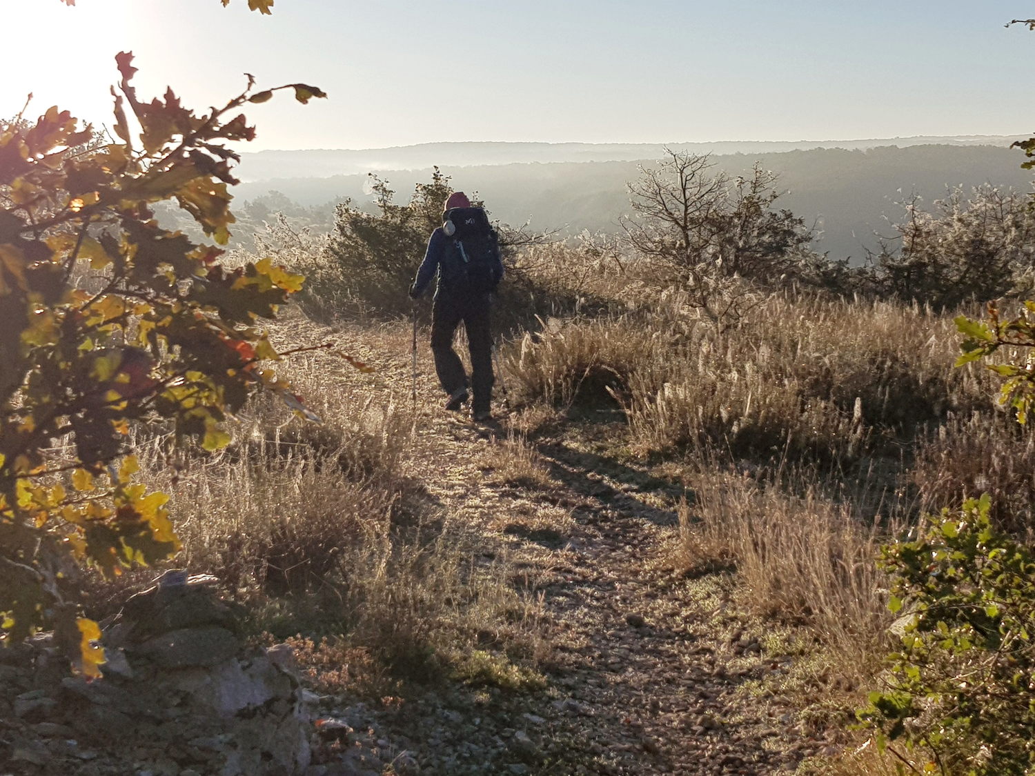 Image for facebook - best 2:1 aspect