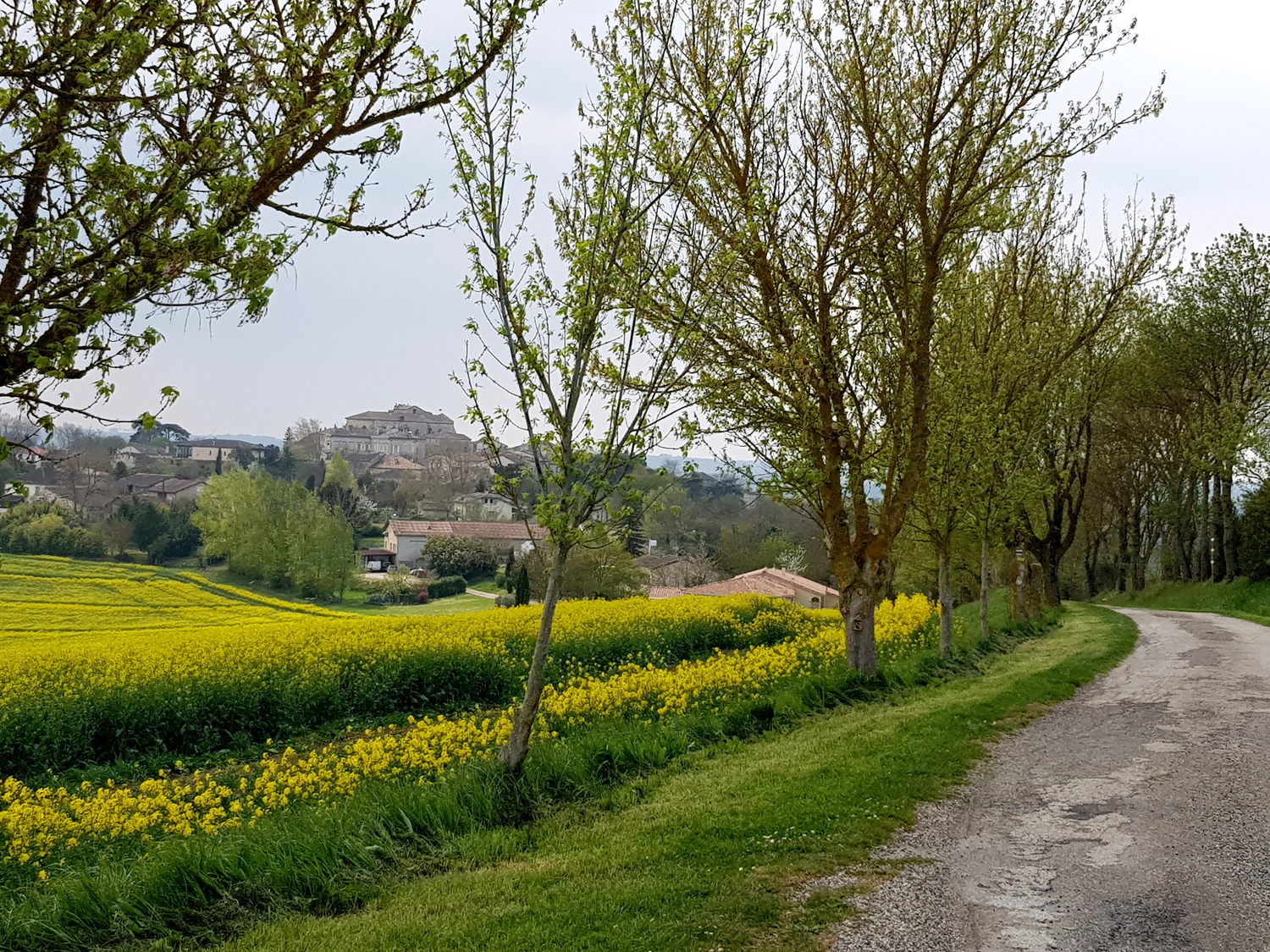 Image for facebook - best 2:1 aspect