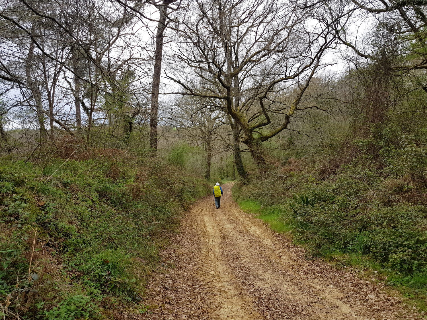 Image for facebook - best 2:1 aspect