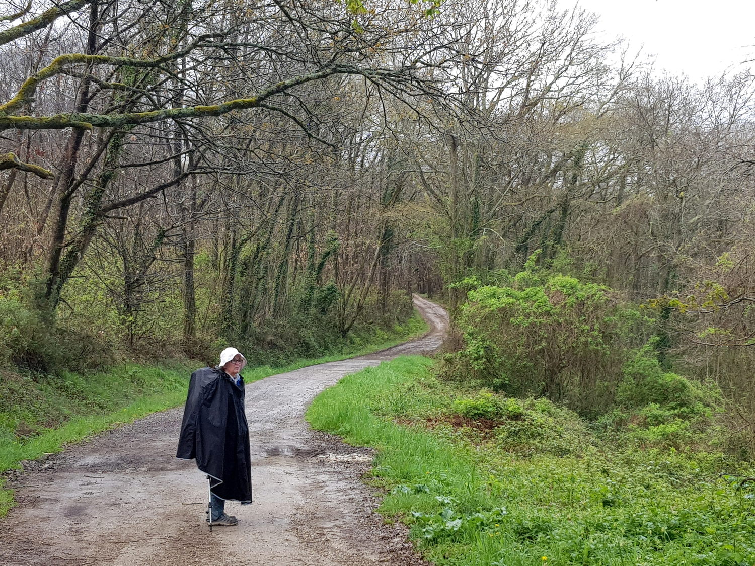 Image for facebook - best 2:1 aspect