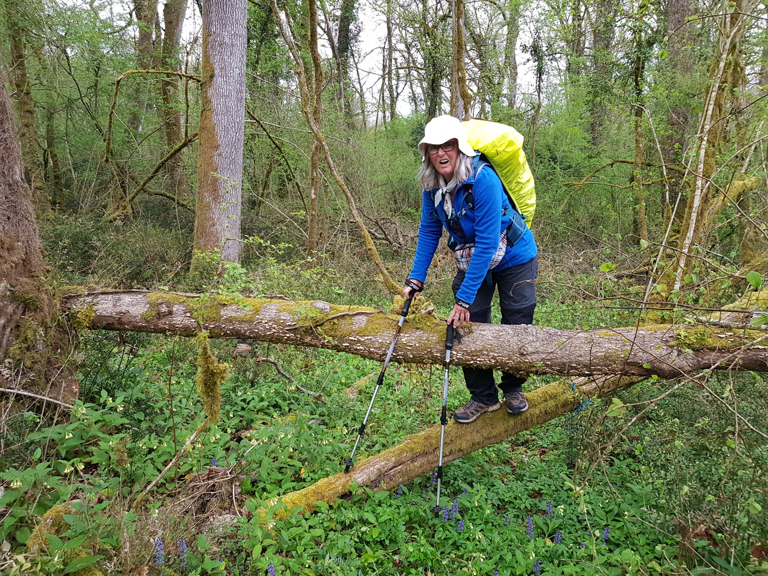 Image for facebook - best 2:1 aspect