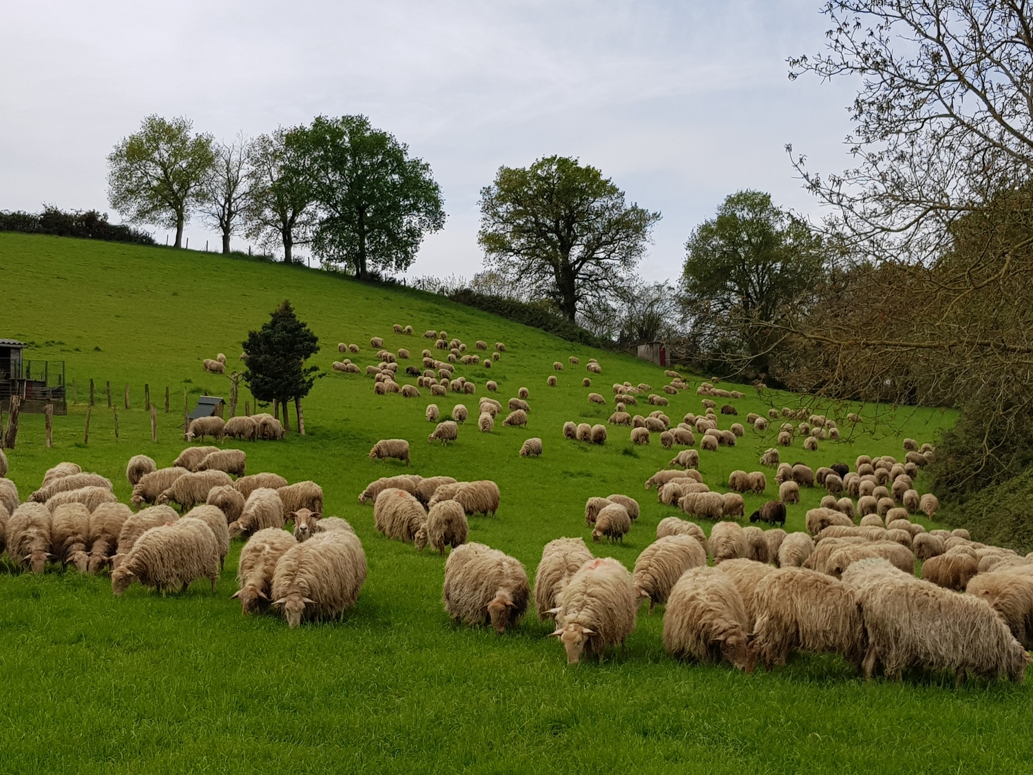 Image for facebook - best 2:1 aspect