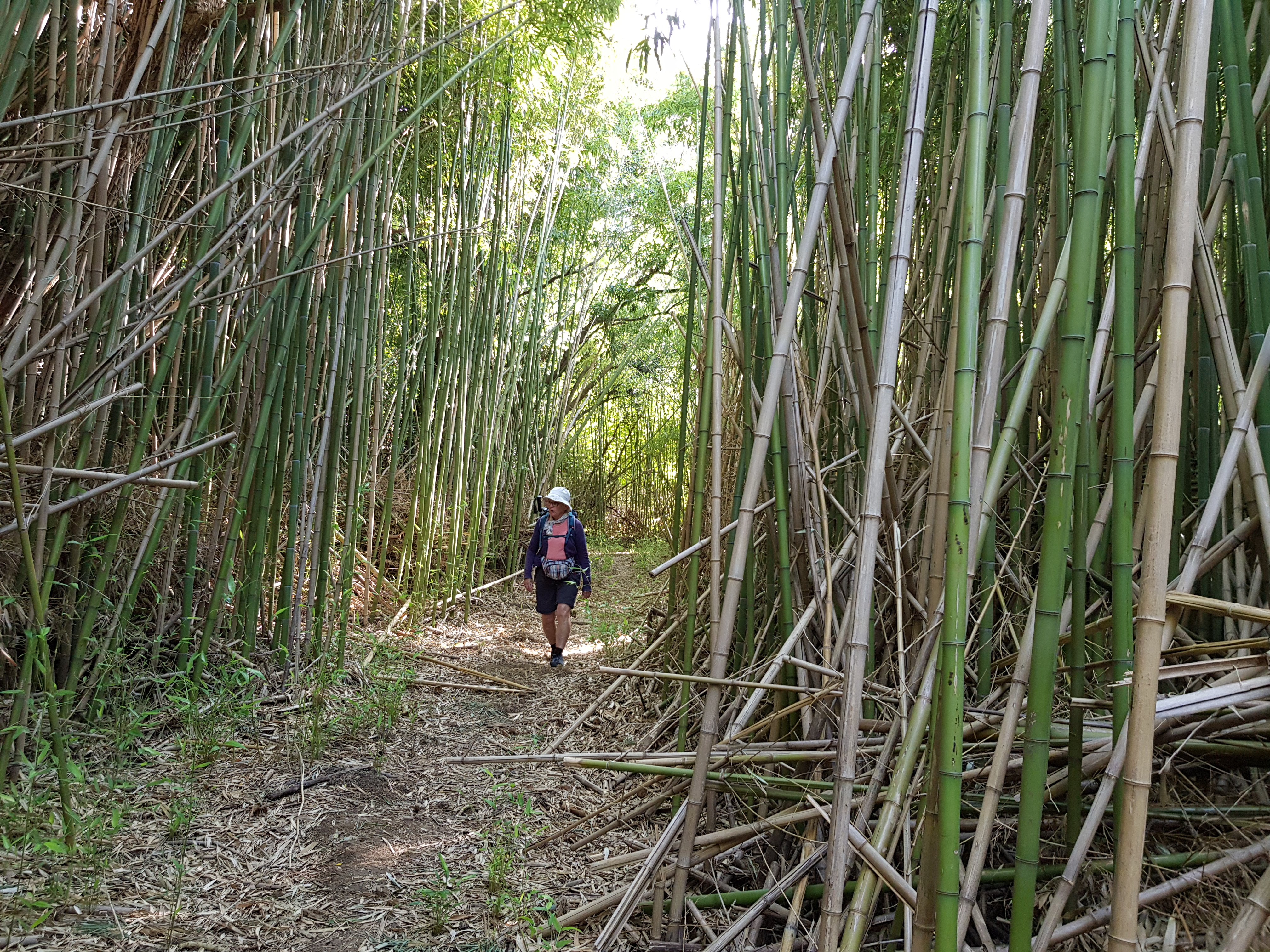 Image for facebook - best 2:1 aspect