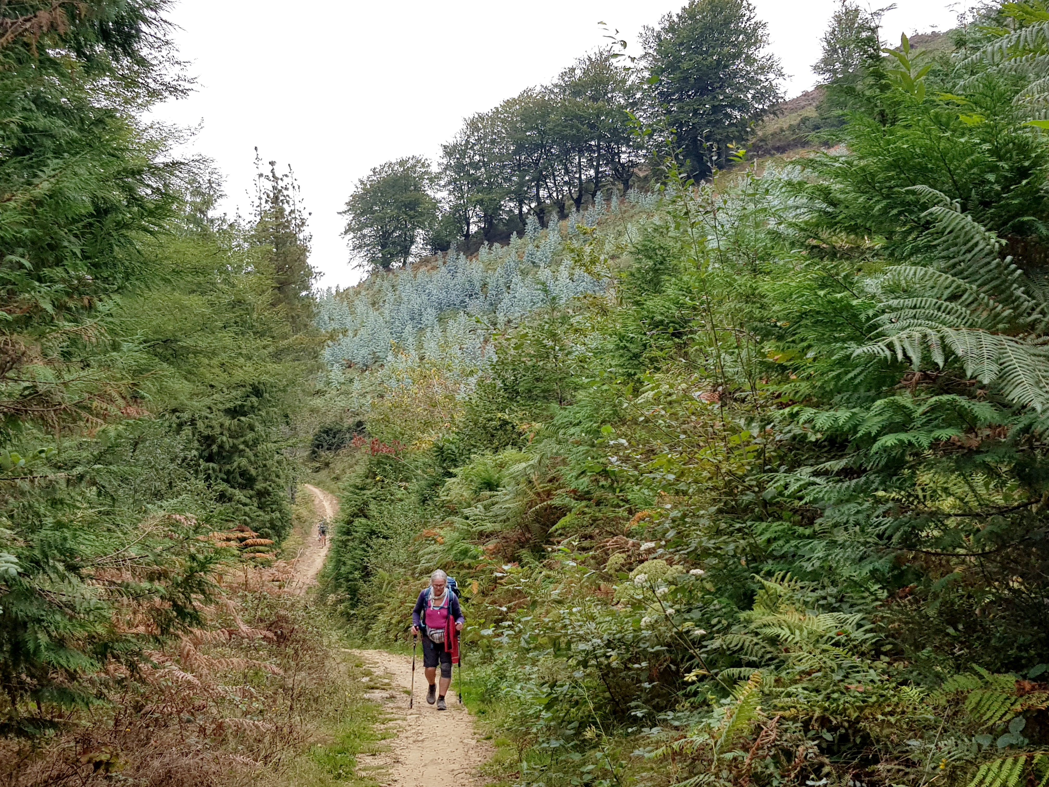 Image for facebook - best 2:1 aspect