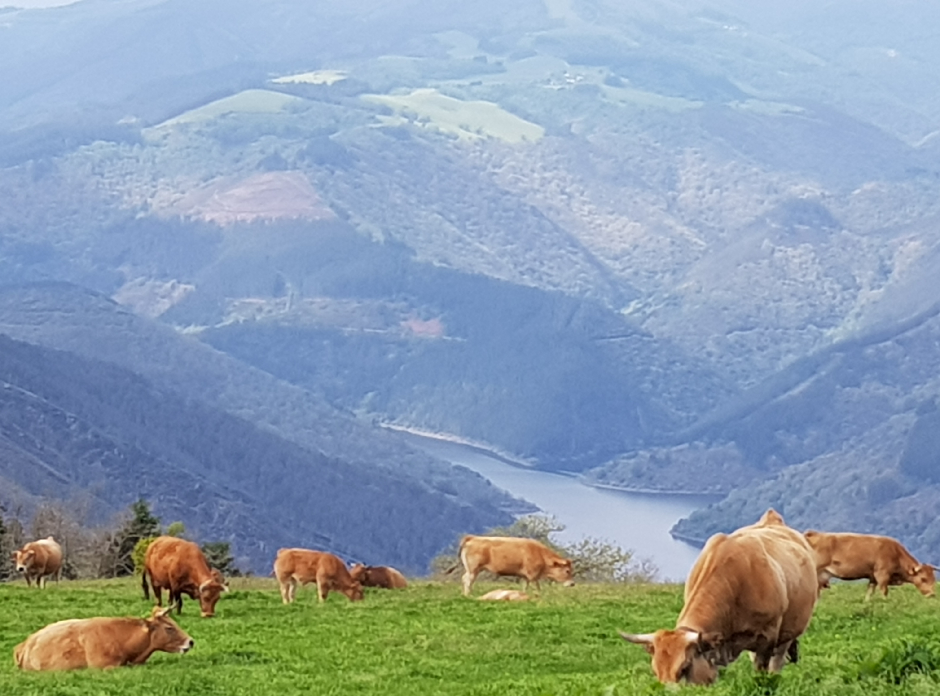 Image for facebook - best 2:1 aspect